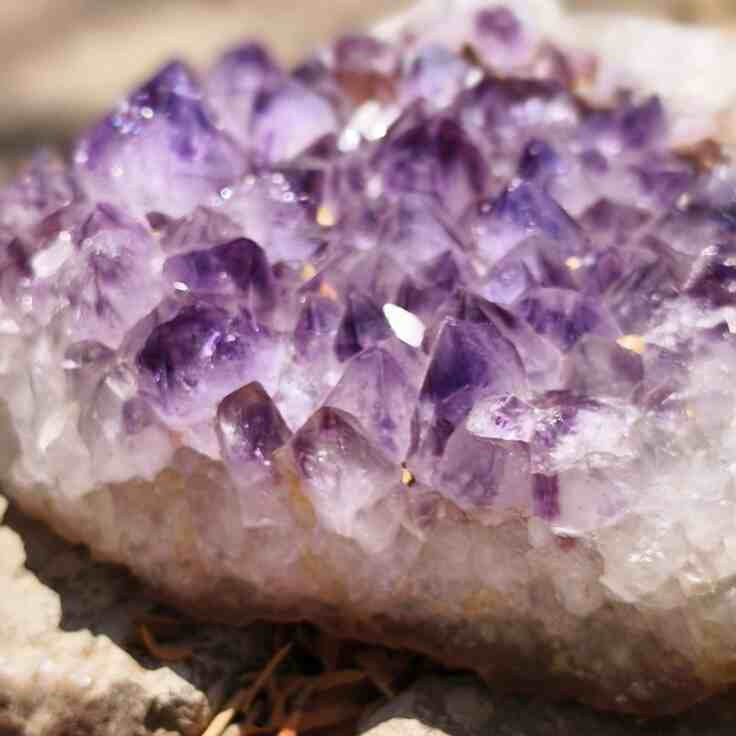 Amethyst Cluster