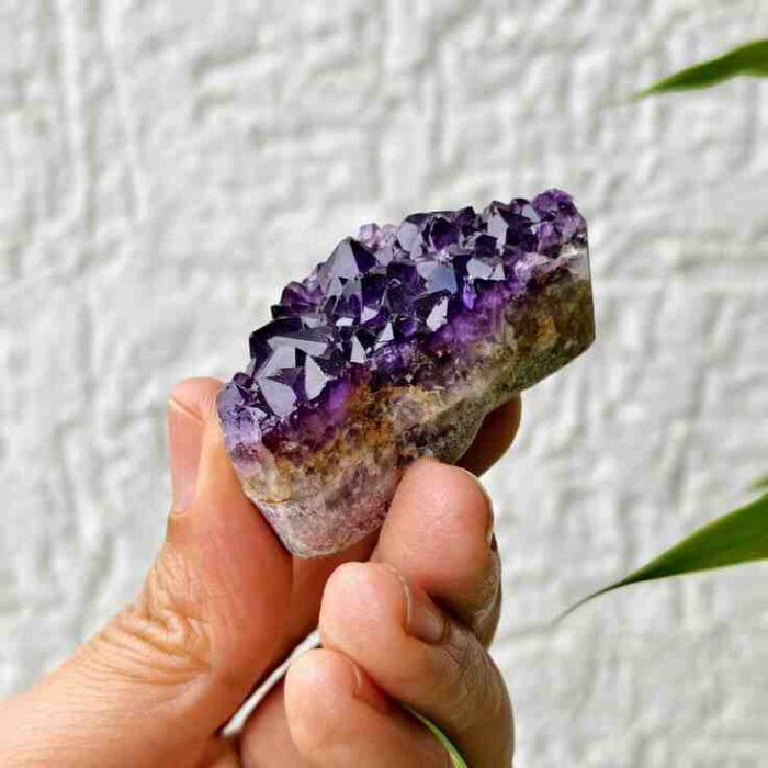 Mini Amethyst Clusters