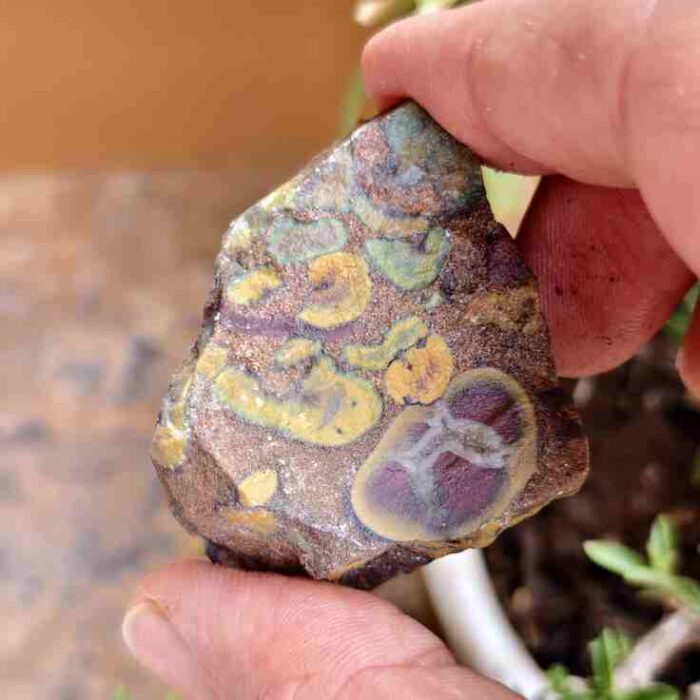 Raw Fruit Jasper