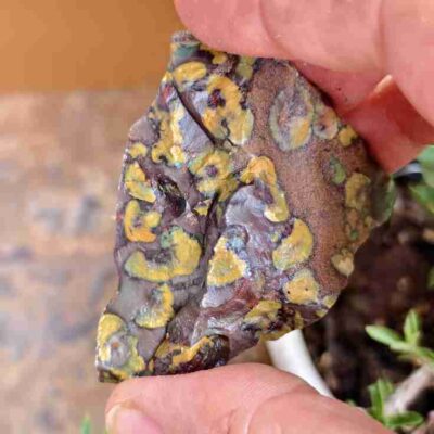 Raw Fruit Jasper